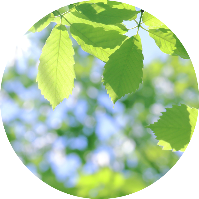 医療法人稲門会