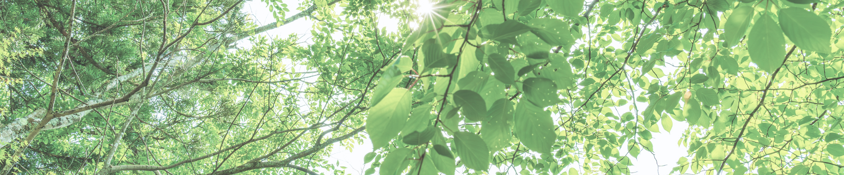 医療法人稲門会