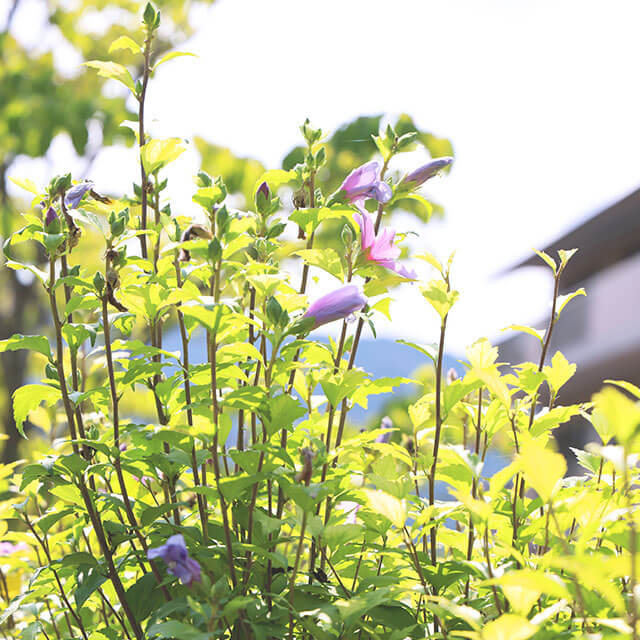 いわくら病院障害福祉事業事業概要
