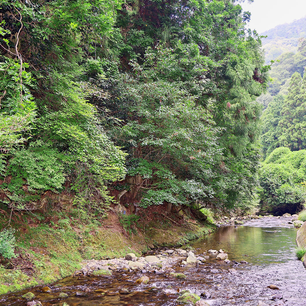 介護老人保健施設 しずはうす