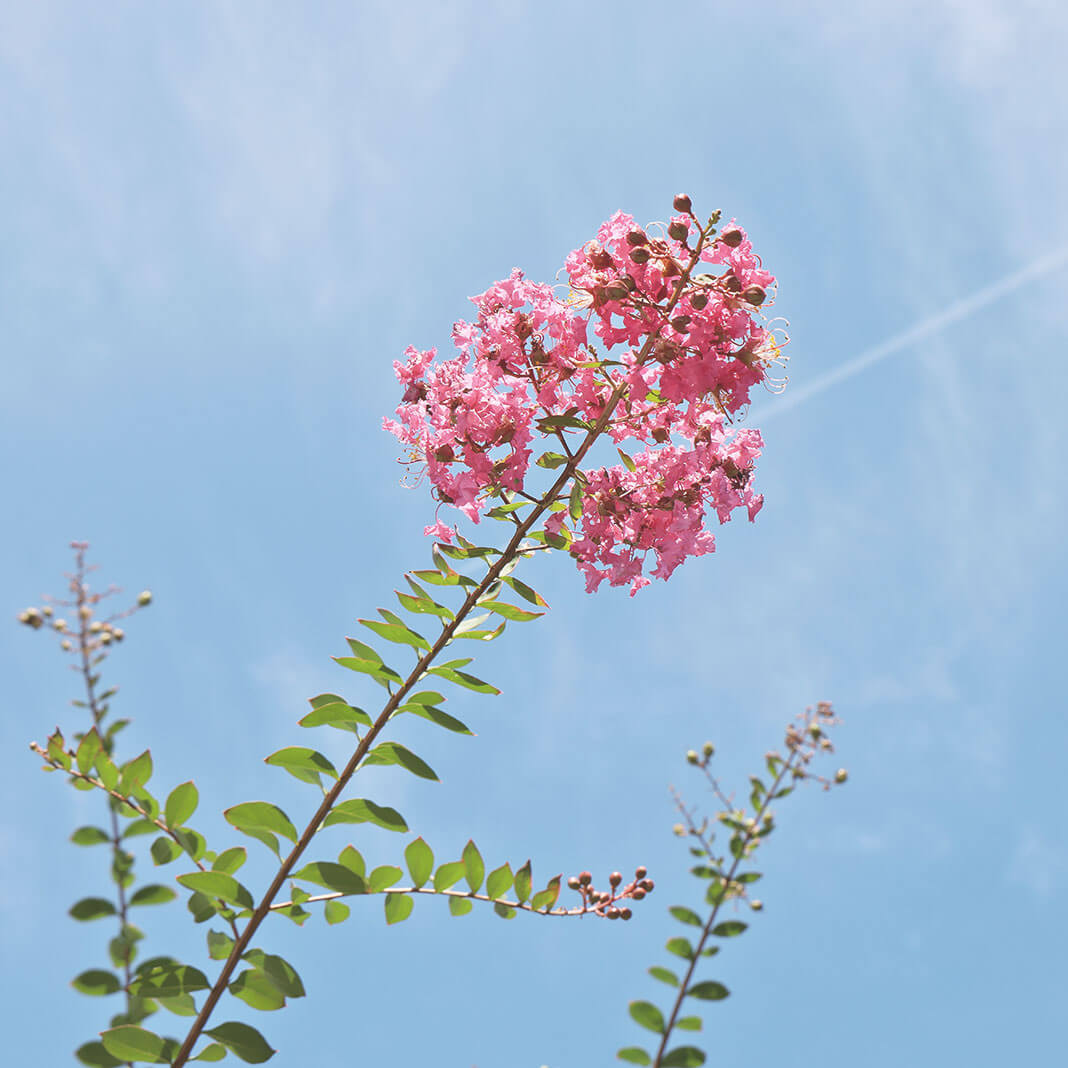 介護老人保健施設 フェアウインドきの